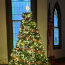 2025 Christmas tree